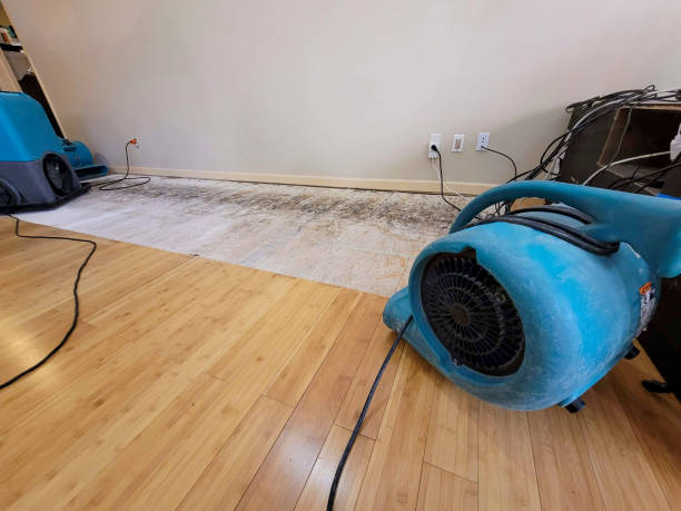 Professional Structural Drying technician working in Malmo, NE